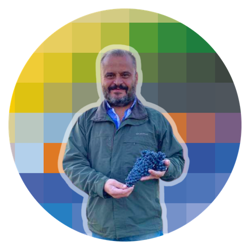 Felipe Nalda, DO Toro